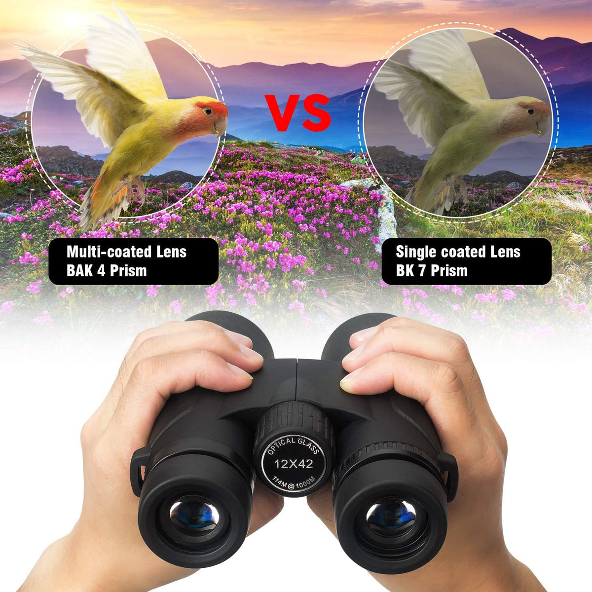 12x42 HD Professional Binoculars with Strap and Carrying Bag D87719