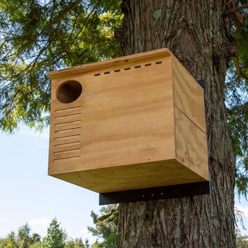 Barn Owl Nest Box House O25366