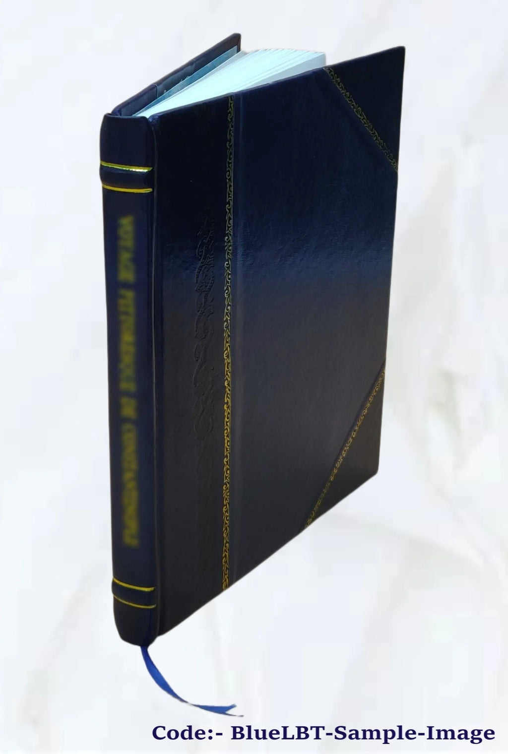 Leather Bound Book H74196
