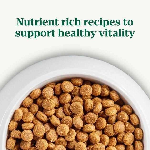 Adult Beef Rice Dry Dog Food Q417426