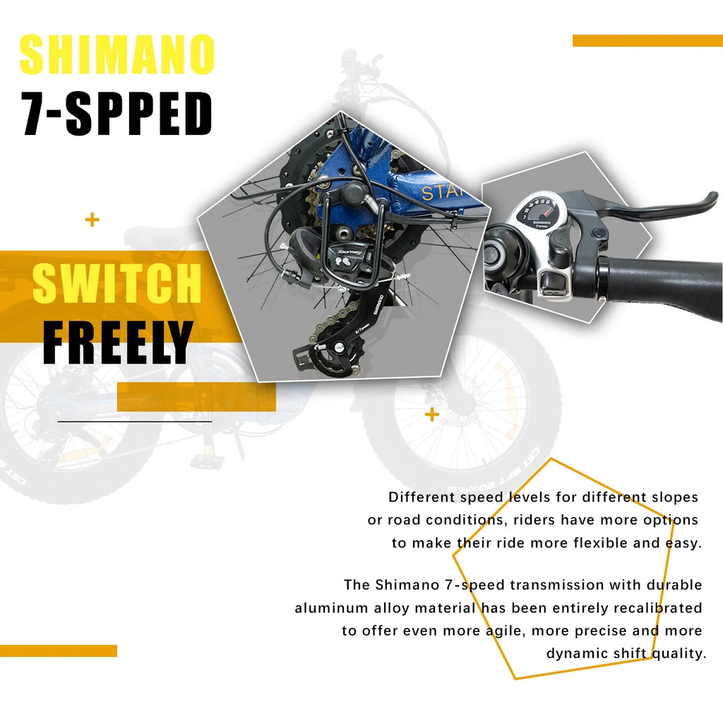 20''×4.0'' Fat Tire Electric Bike with 48V 20AH Removable Battery P2766