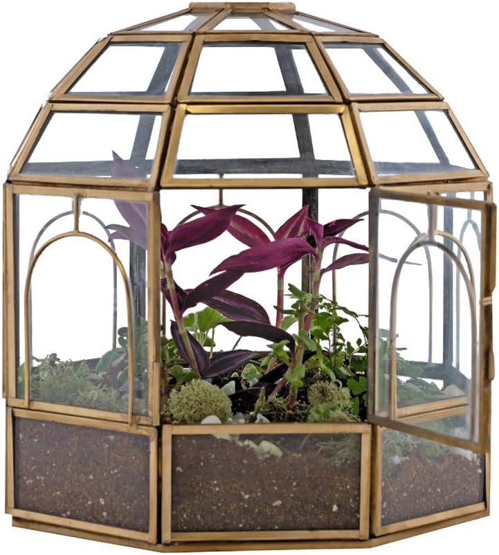 Large Glass Terrarium 10 x 9 x 9 Brass Z305345