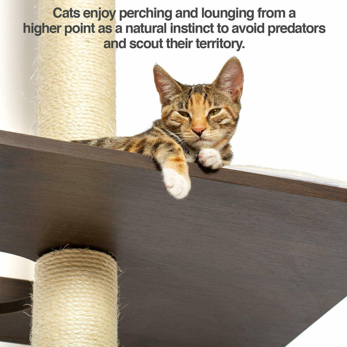Cat Climbing Tower and Activity Tree with Sisal Scratching R5863