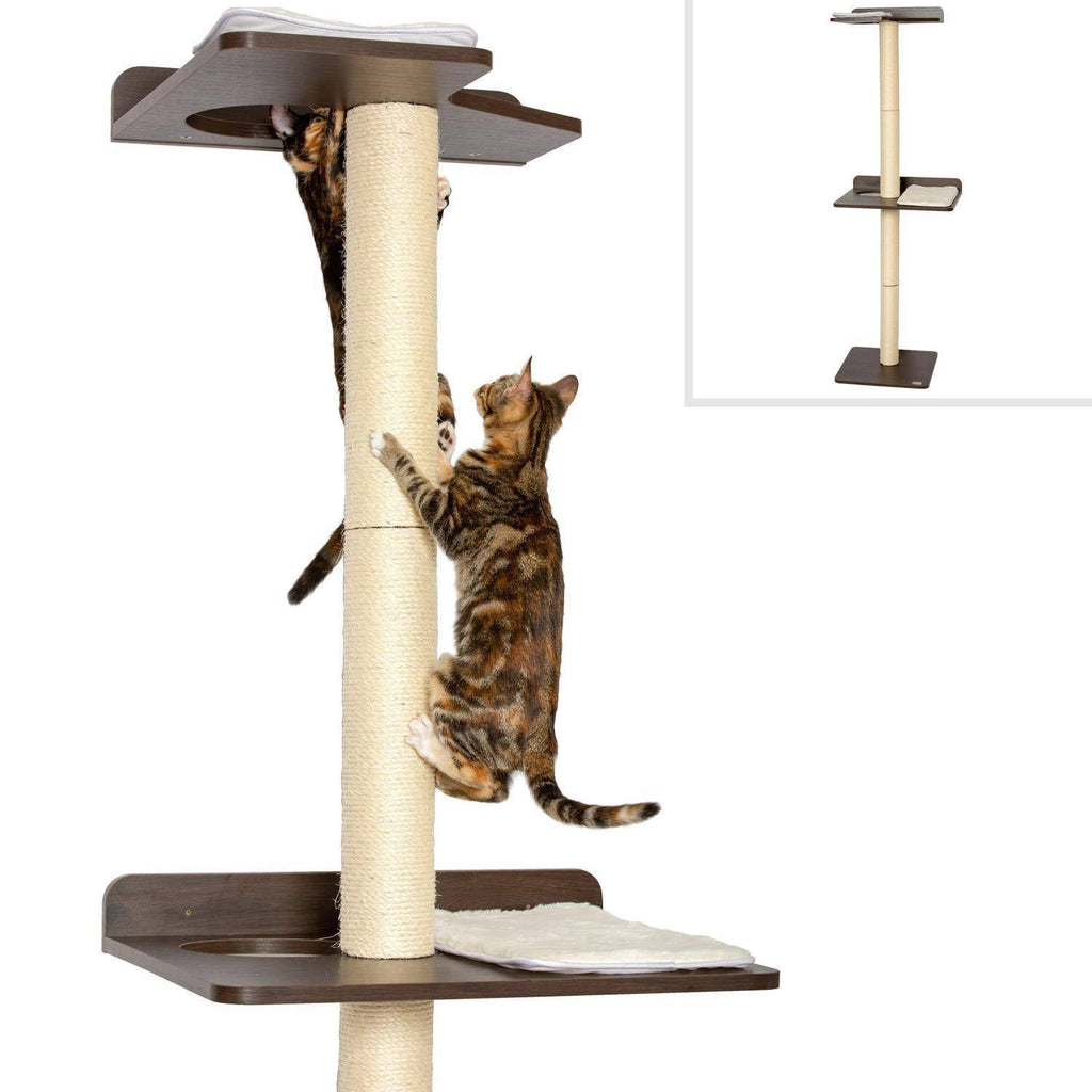 Cat Climbing Tower and Activity Tree with Sisal Scratching R5863