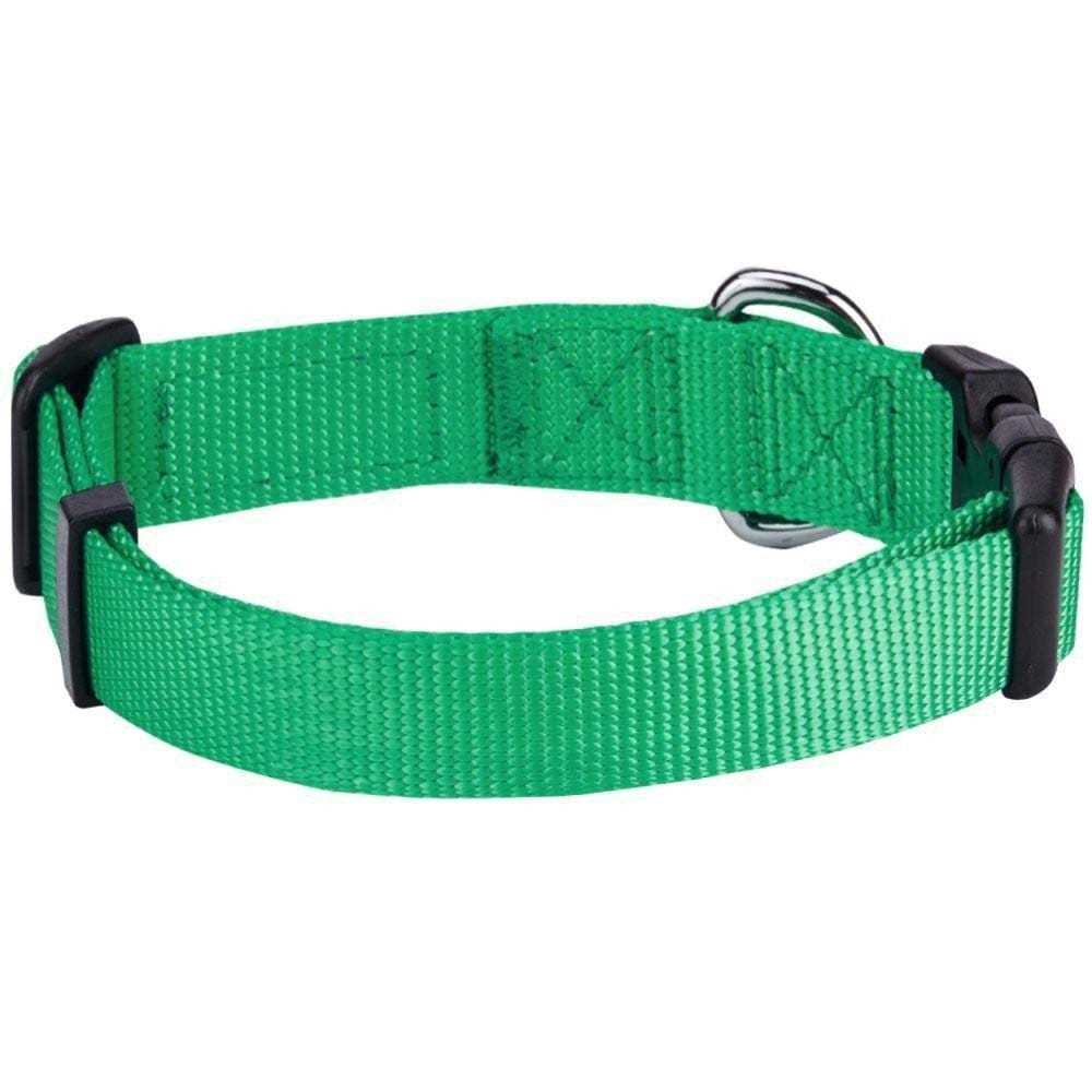 Classic Dog Collar Z26885