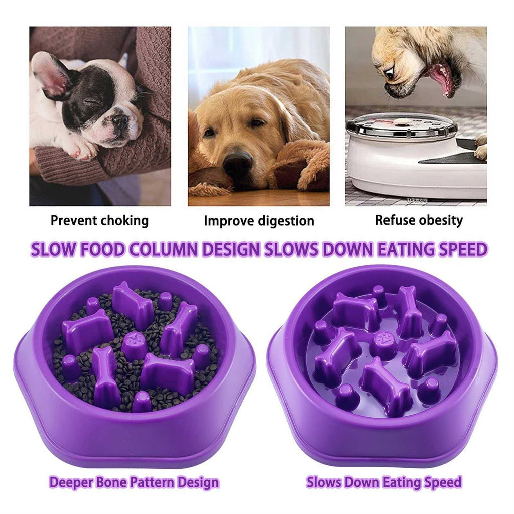 Slow Feeder Non Slip Dog Bowl V37338