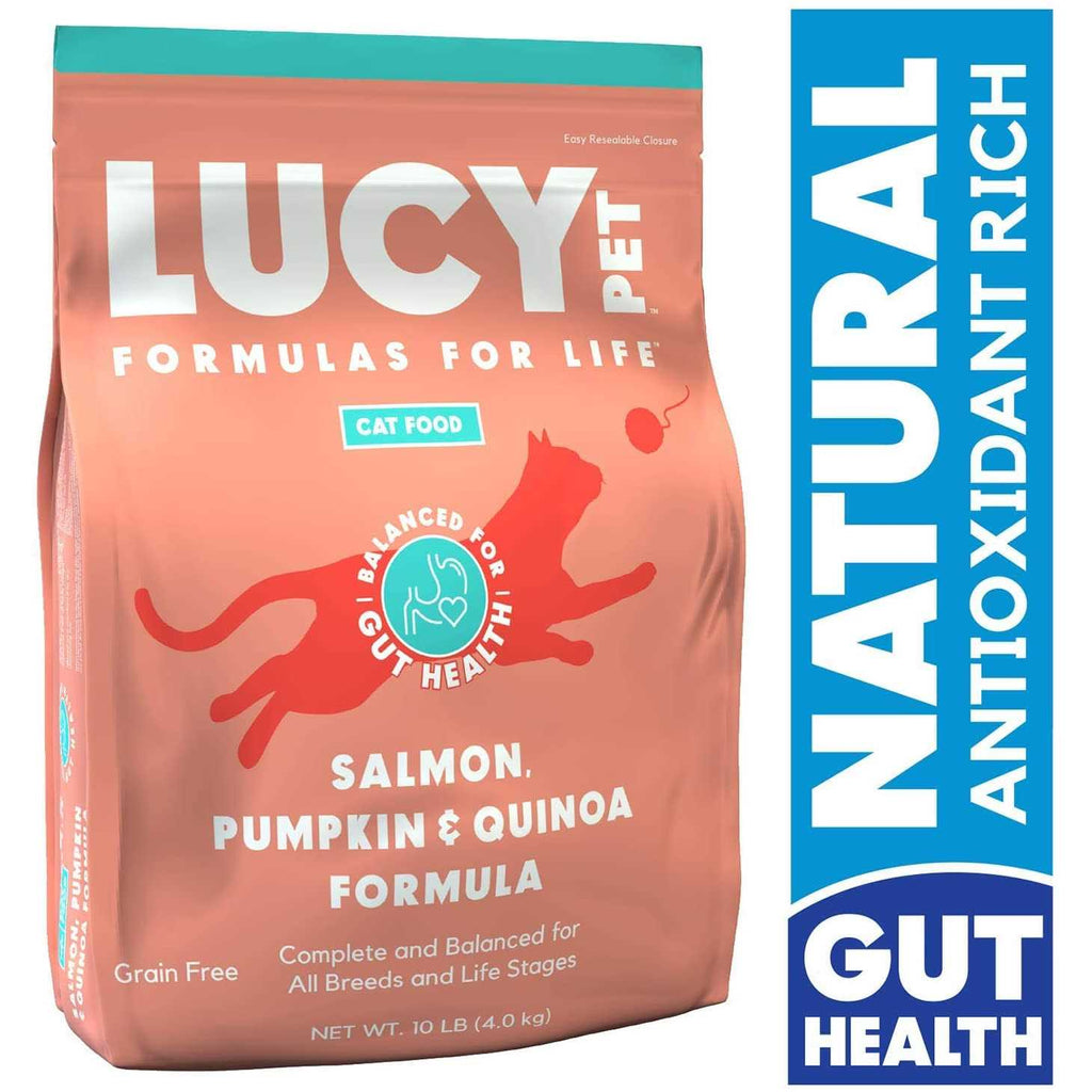 Dry Cat Food Salmon G95562