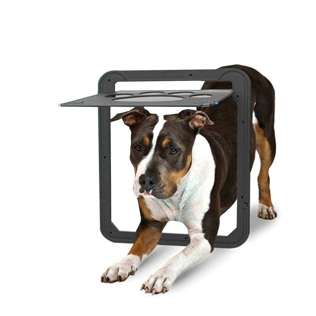 Lockable Dog Screen Door 12x14x0.4 Inch H97253