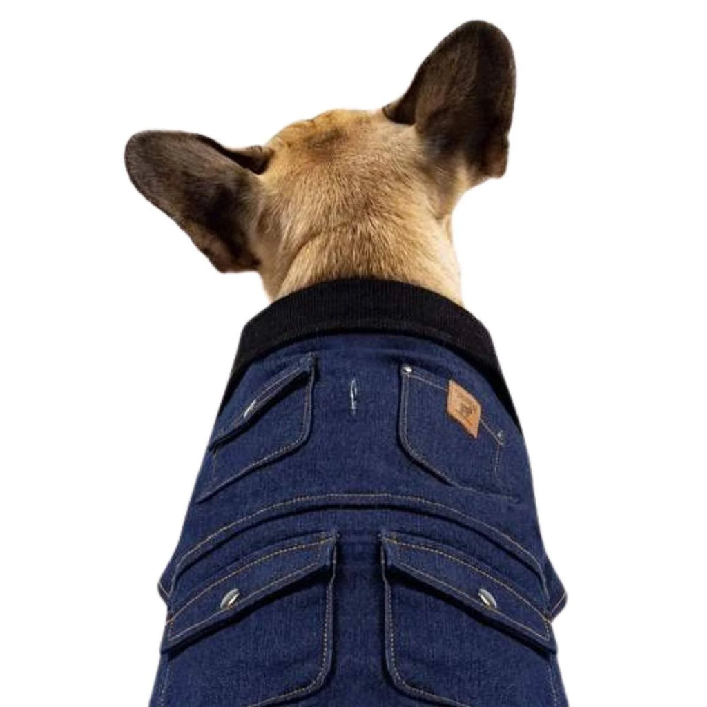 Blue Dog Jacket K2768