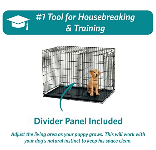 Single & Double Door Dog Crate with Leak-Proof Pan Y5235