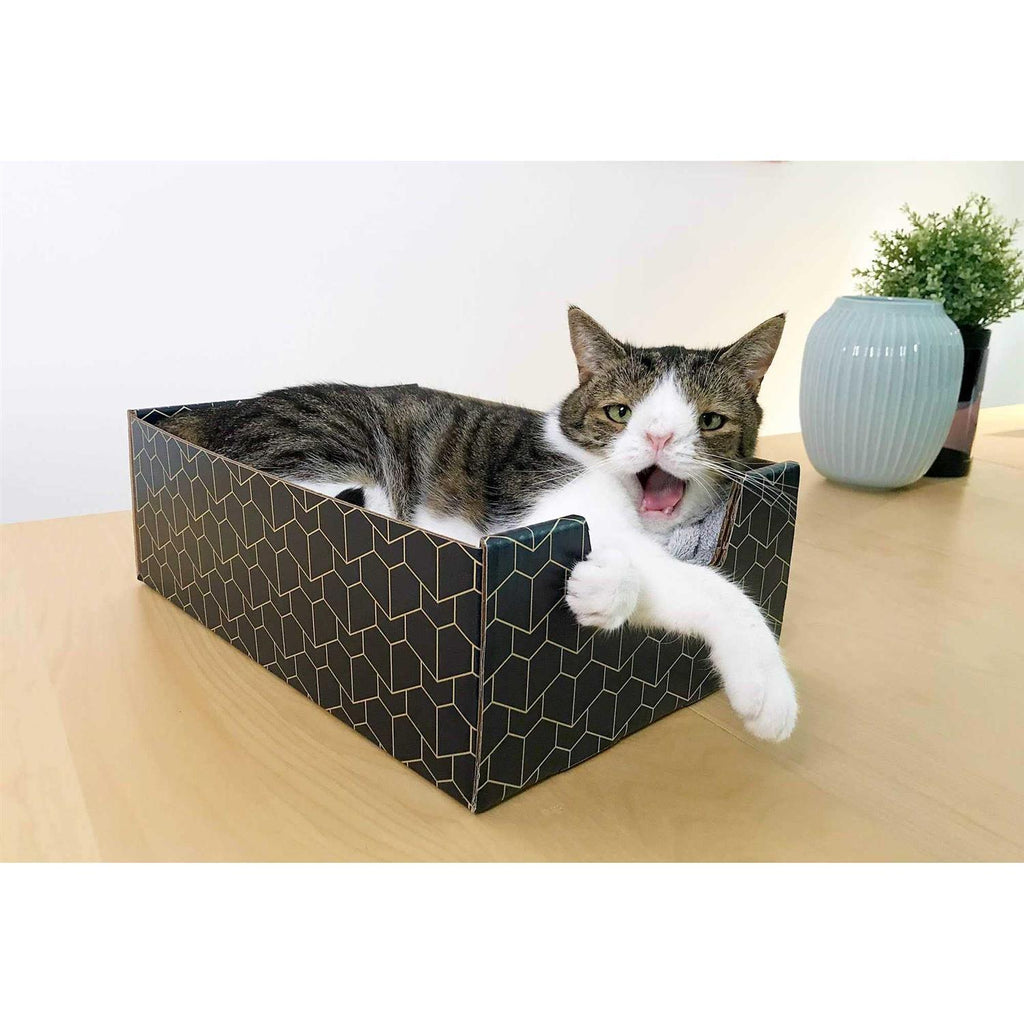Blue Cat Box Y66300