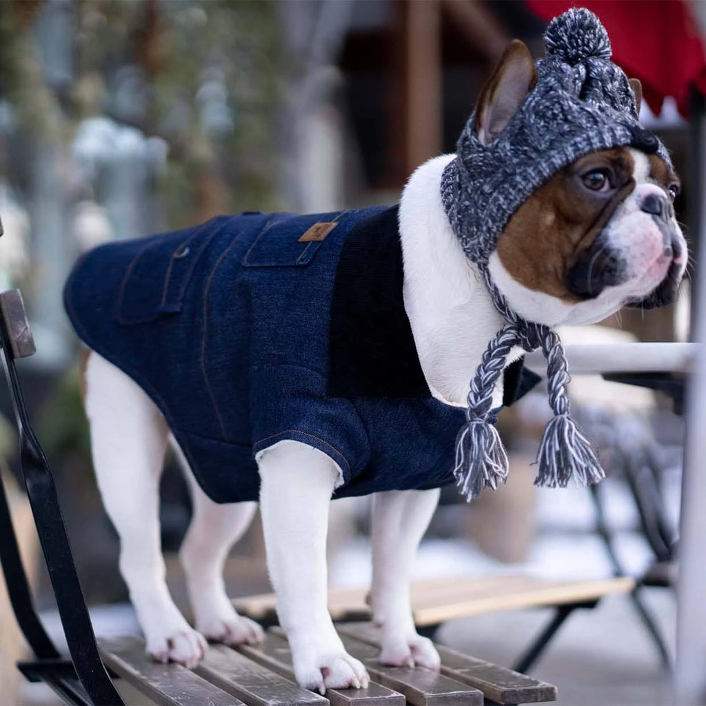 Blue Dog Jacket K2768