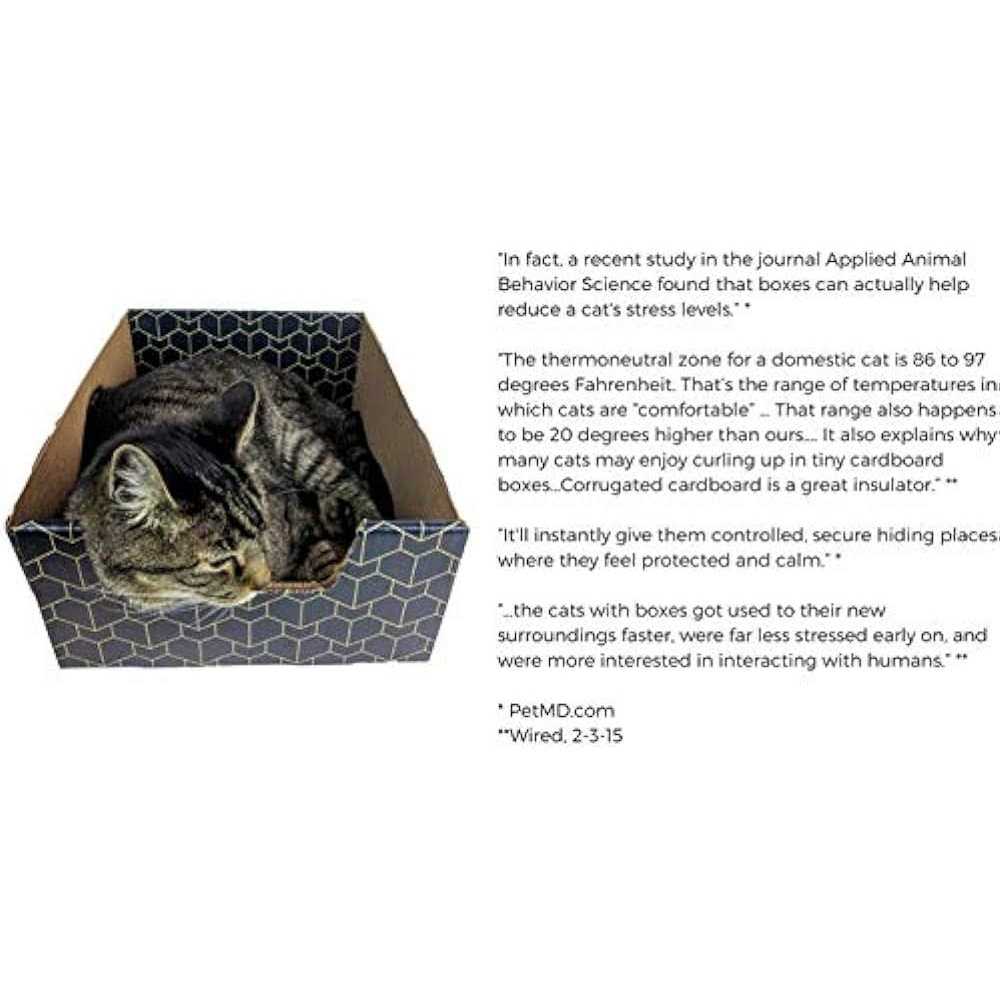 Blue Cat Box Y66300