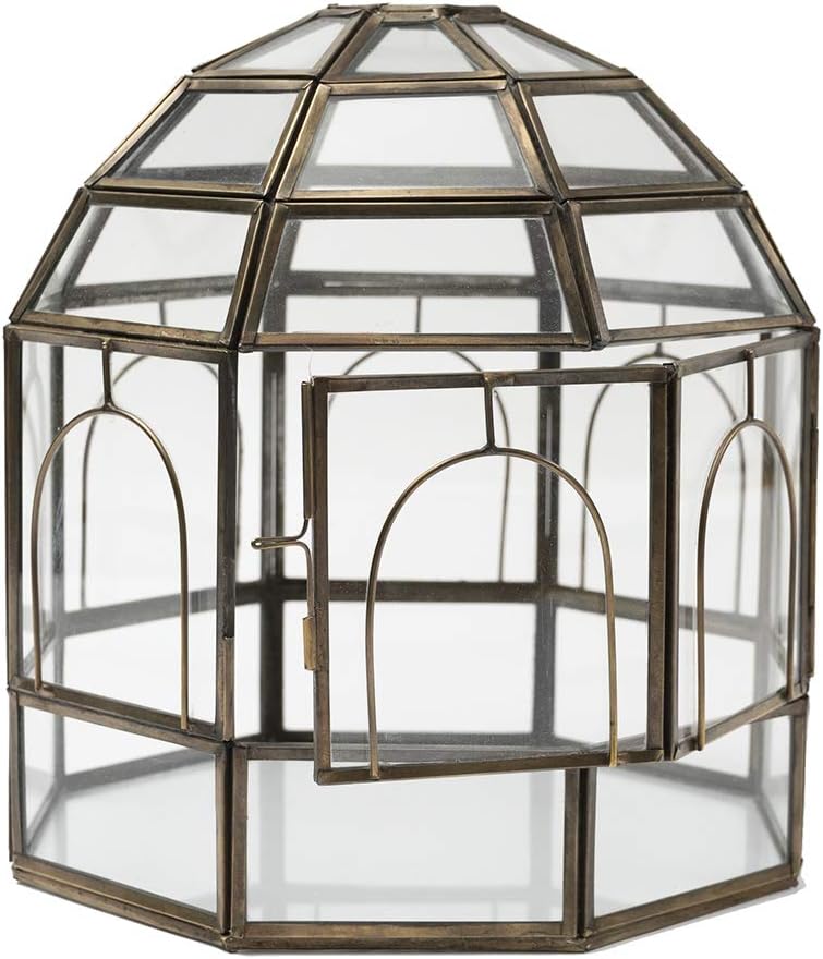 Large Glass Terrarium 10 x 9 x 9 Brass Z305345