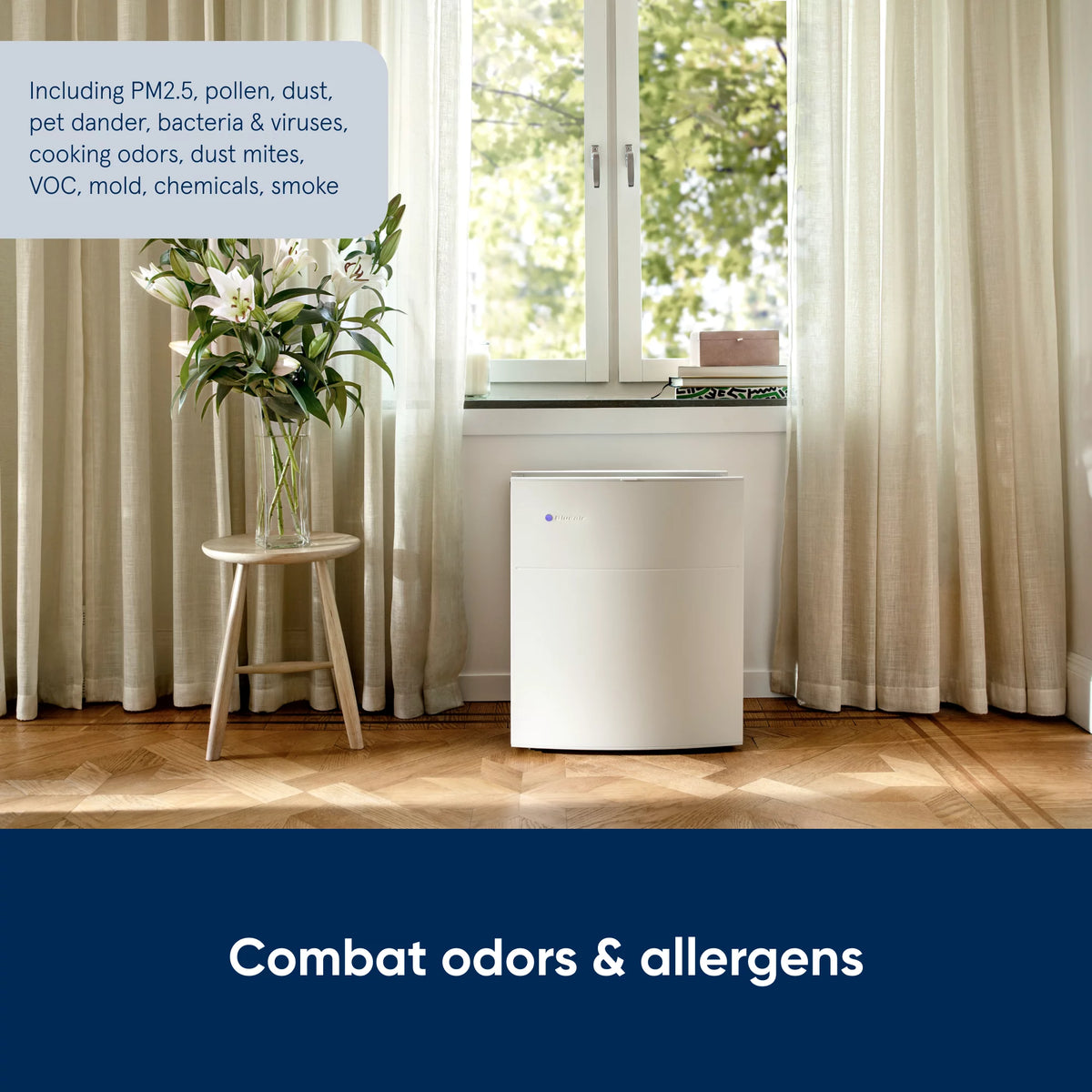 Air Purifier up to 434 sq ft S501870