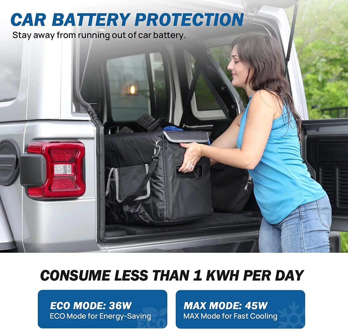25L Portable Car Refrigerator Cooler 12/24V DC 110V AC I2348