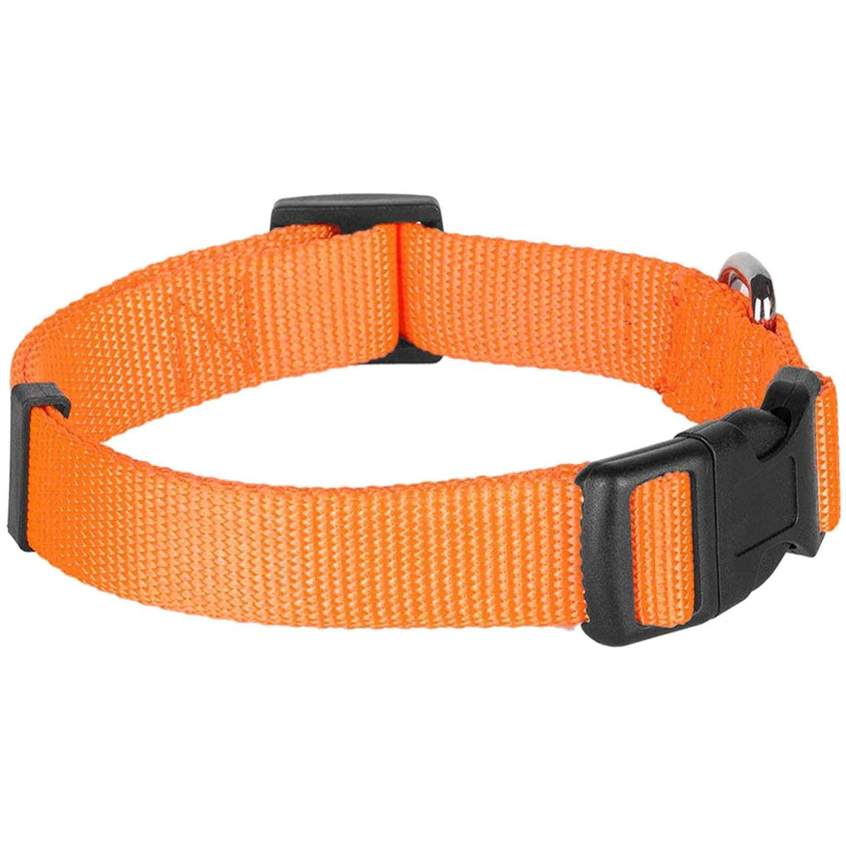 Classic Dog Collar Z26885