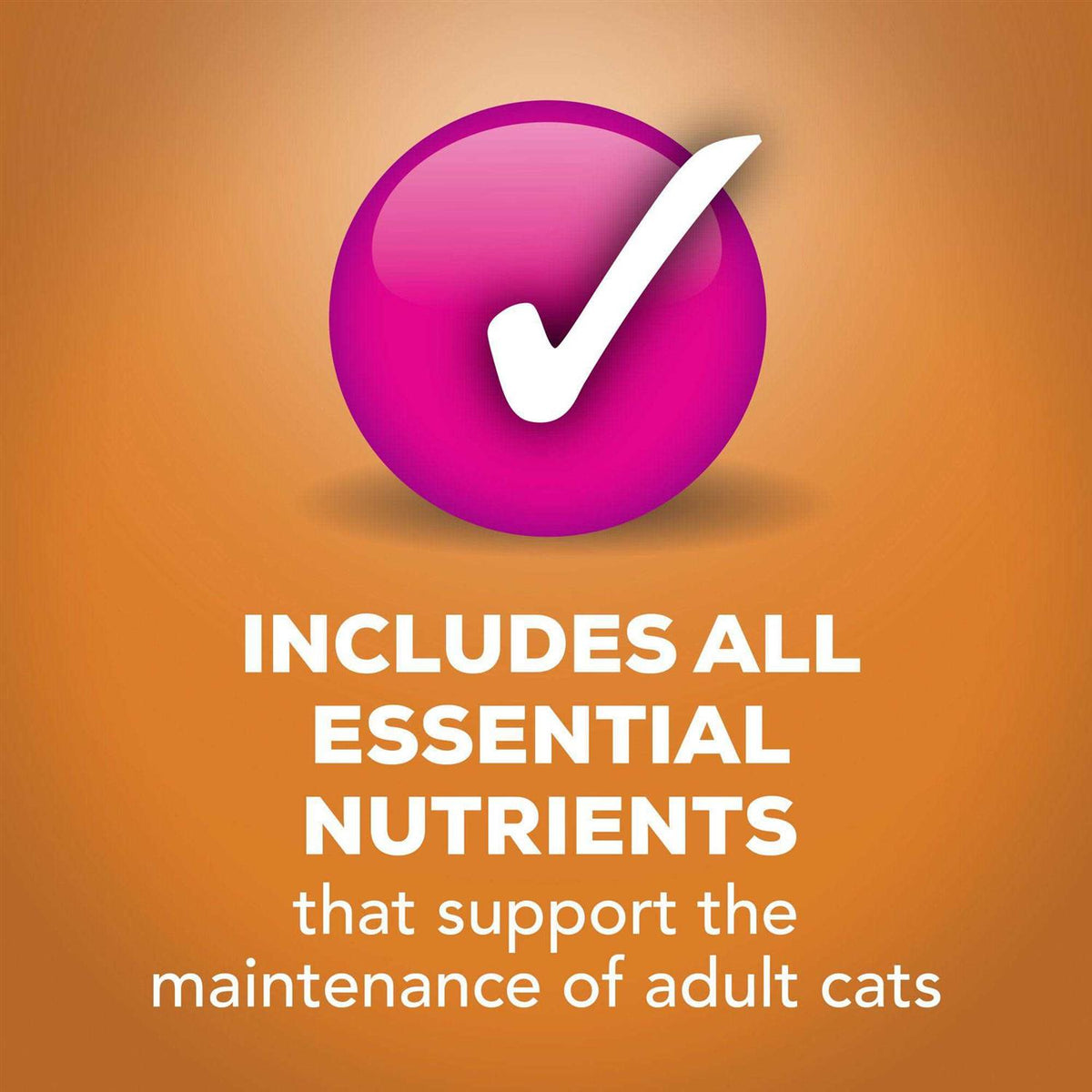 Wet Cat Food Gravy B1772