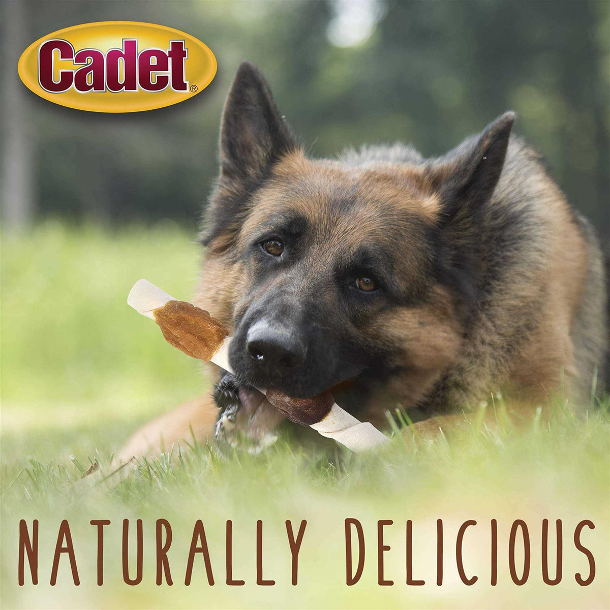 Rawhide Dog Treats V4132