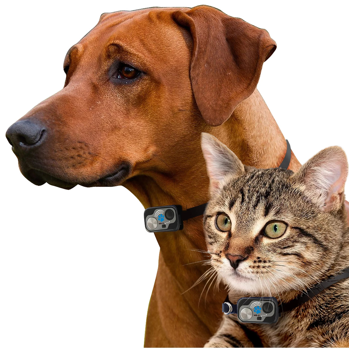 Medium Power Pet Door V5929