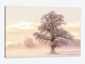 Winter Glow Print Canvas Art V8944