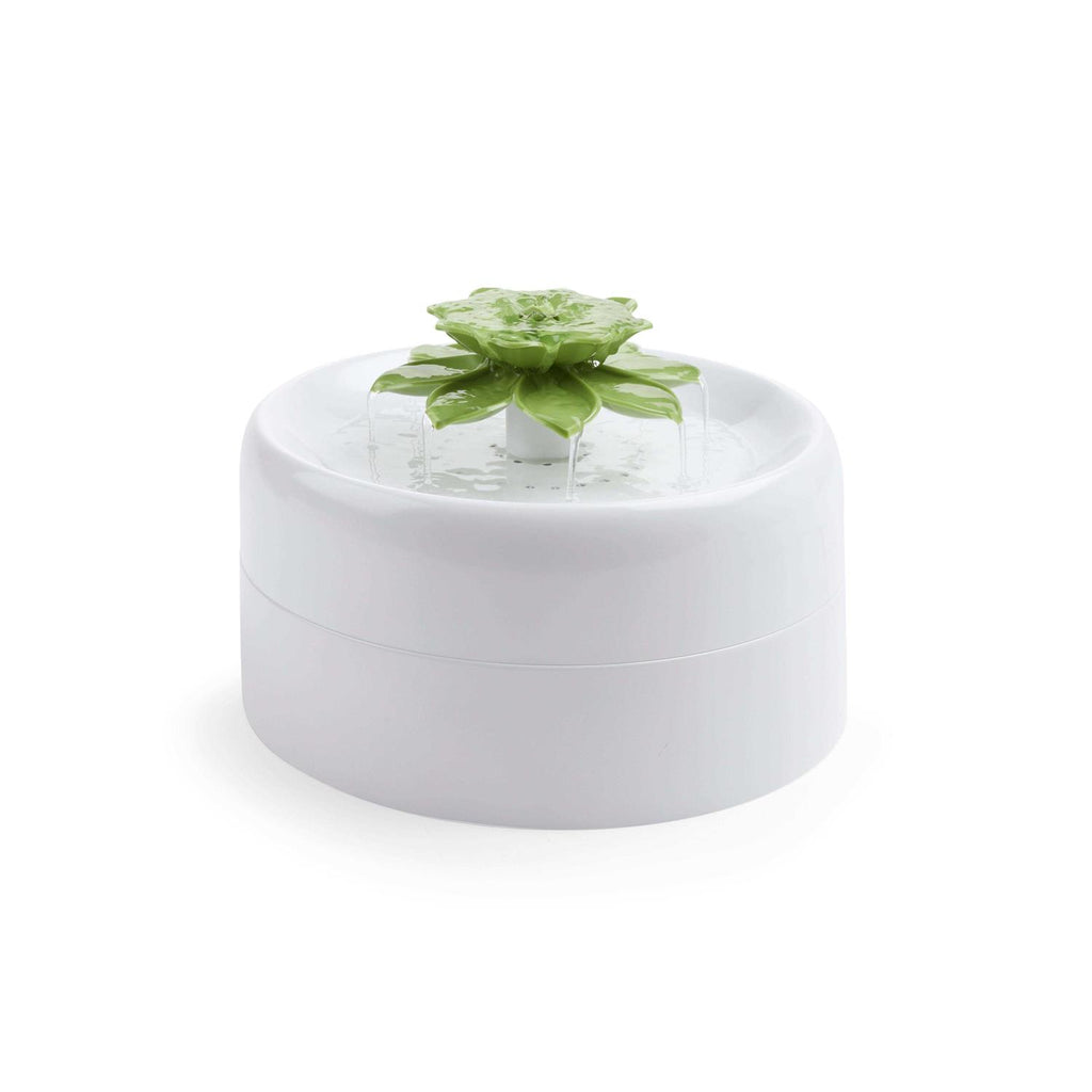 Succulent Pets Water Fountain N302164