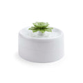 Succulent Pets Water Fountain N302164
