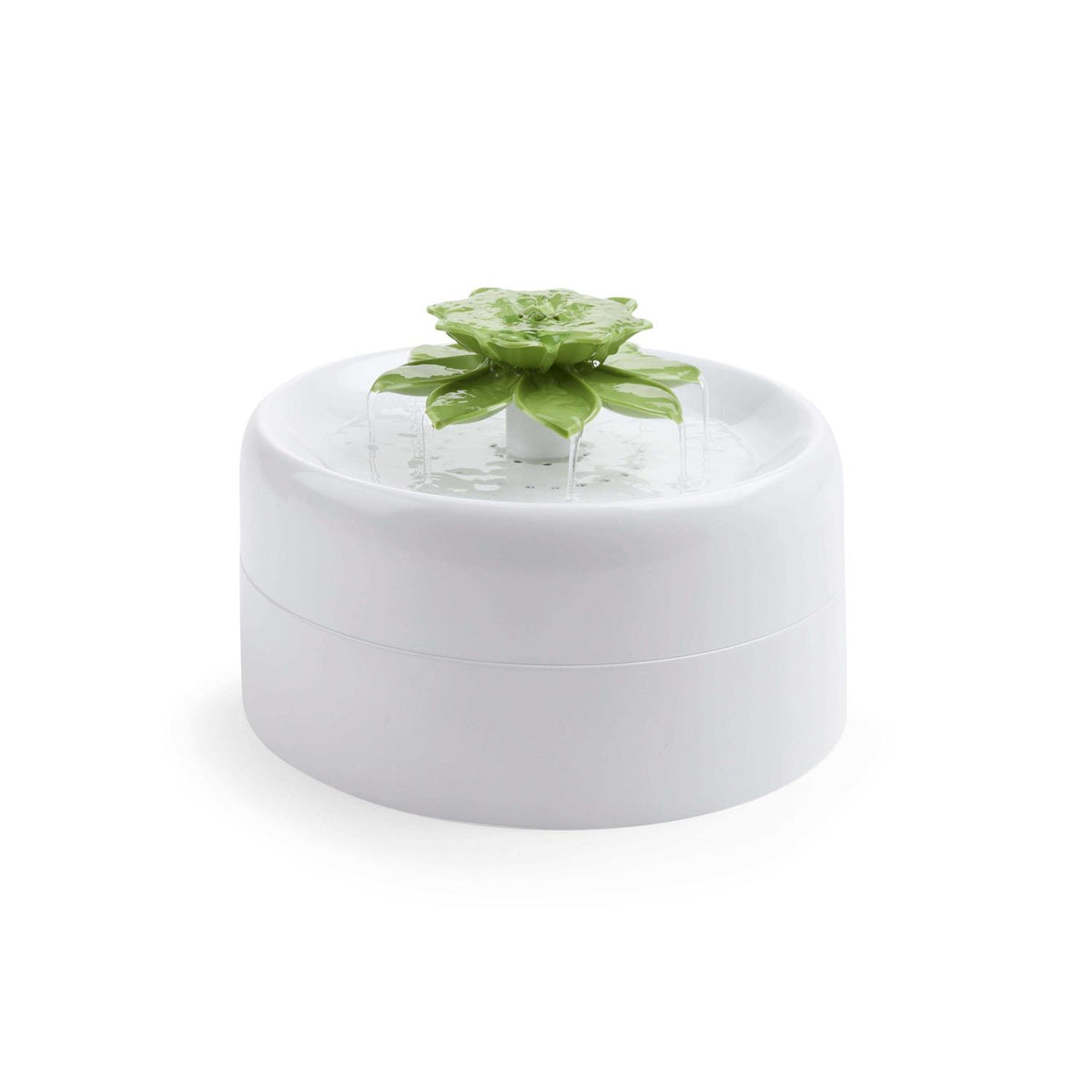 Succulent Pets Water Fountain N302164