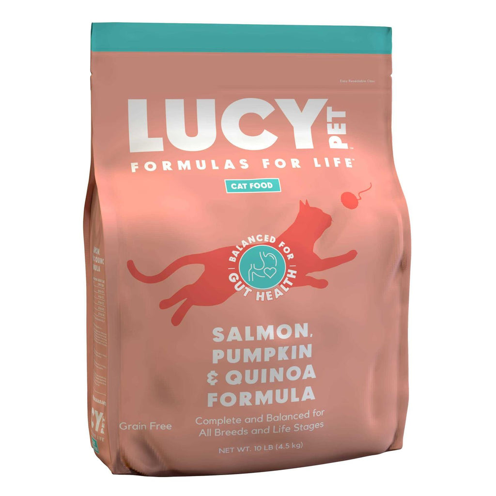 Dry Cat Food Salmon G95562