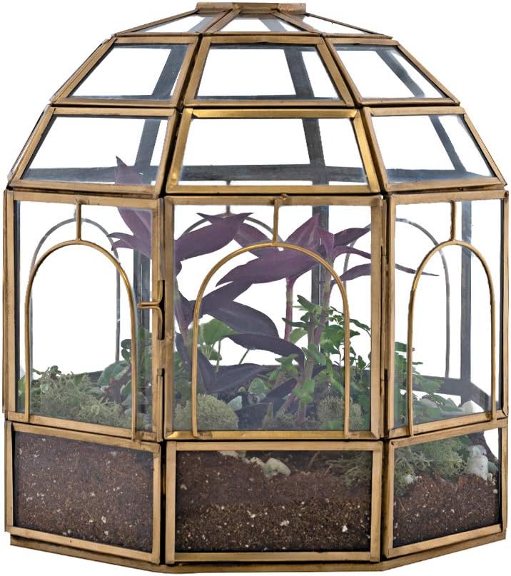 Large Glass Terrarium 10 x 9 x 9 Brass Z305345