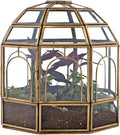 Large Glass Terrarium 10 x 9 x 9 Brass Z305345