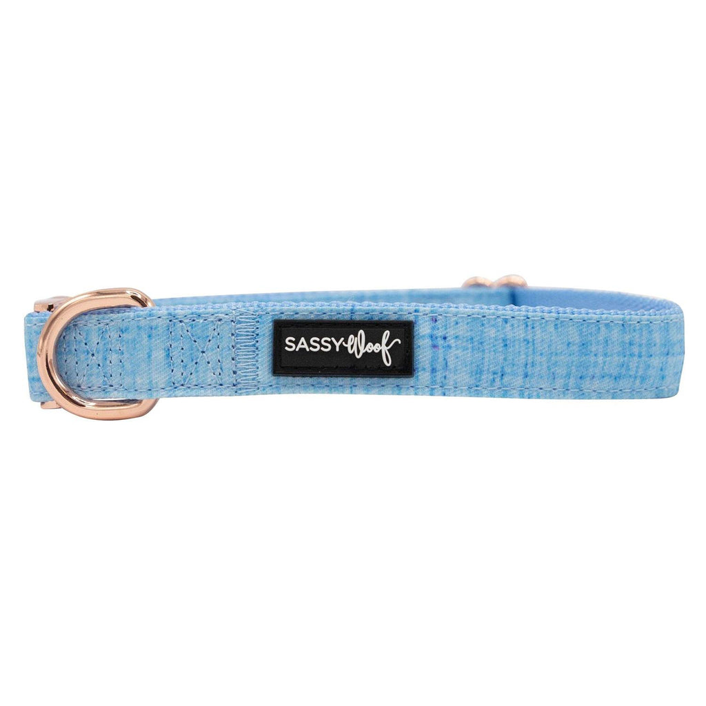 Dog Collar R225