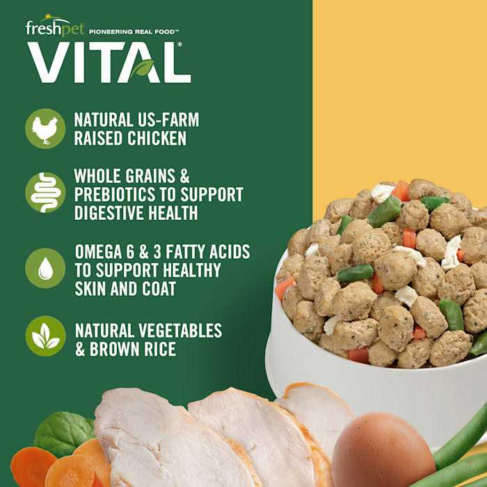 Chicken Dog Food Y493720