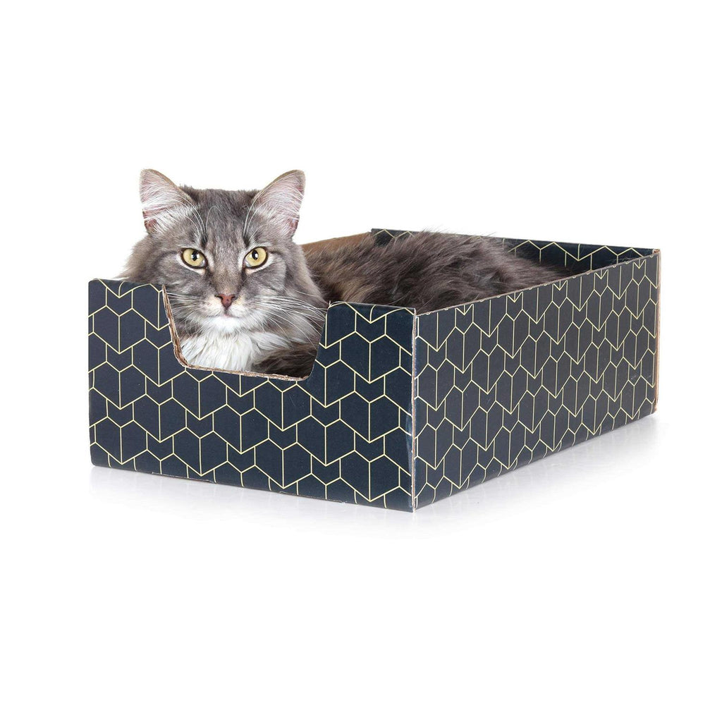 Blue Cat Box Y66300