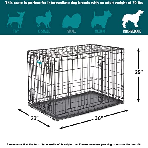 Single & Double Door Dog Crate with Leak-Proof Pan Y5235