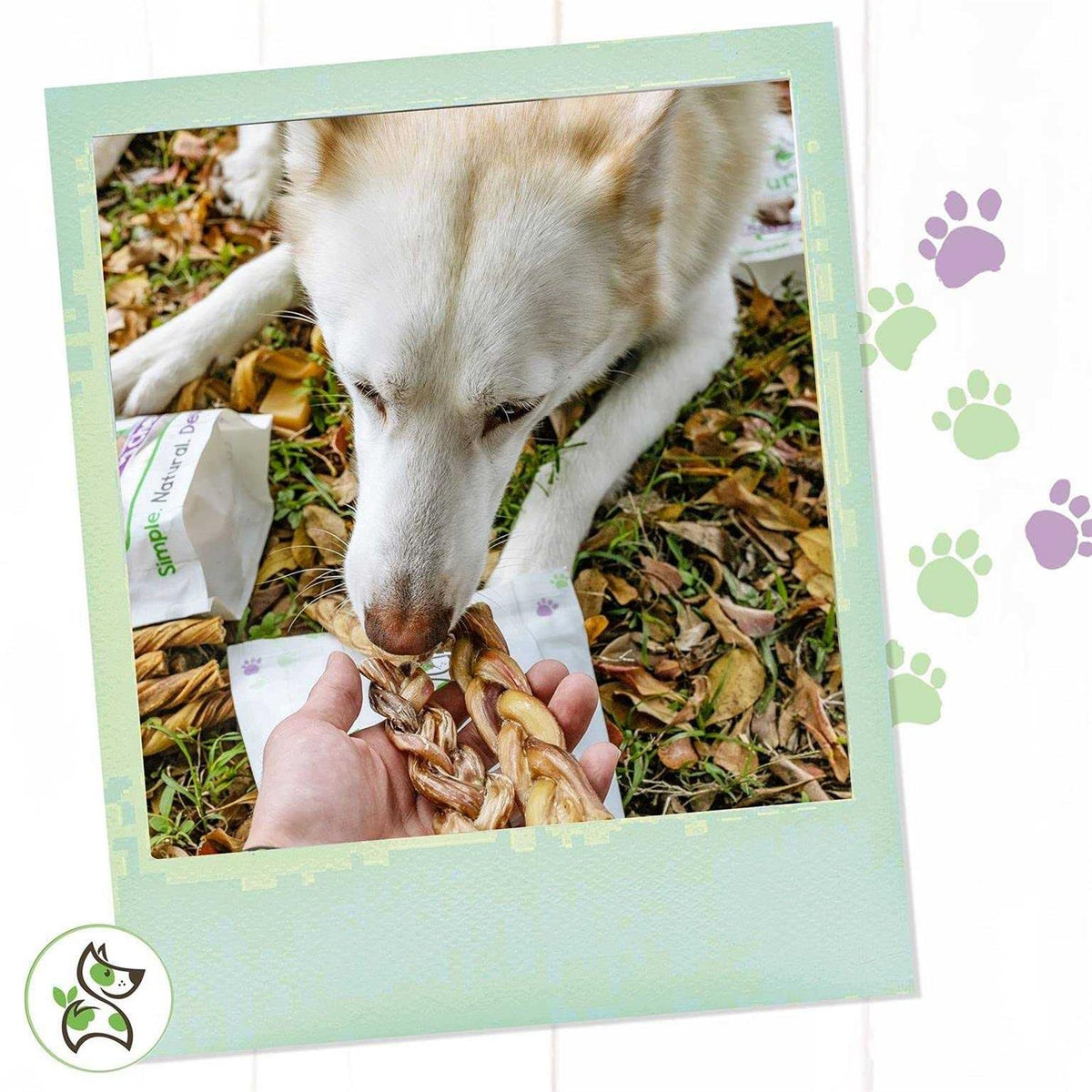 Braided Bully Sticks for Dogs Natural Beef Bones A848368