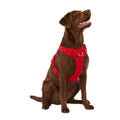 Neoprene Dog Harness C96817