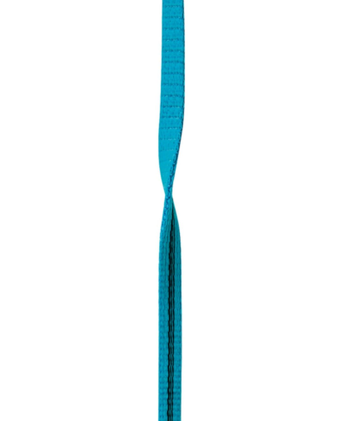 12mm x 100m Icemint Web J812