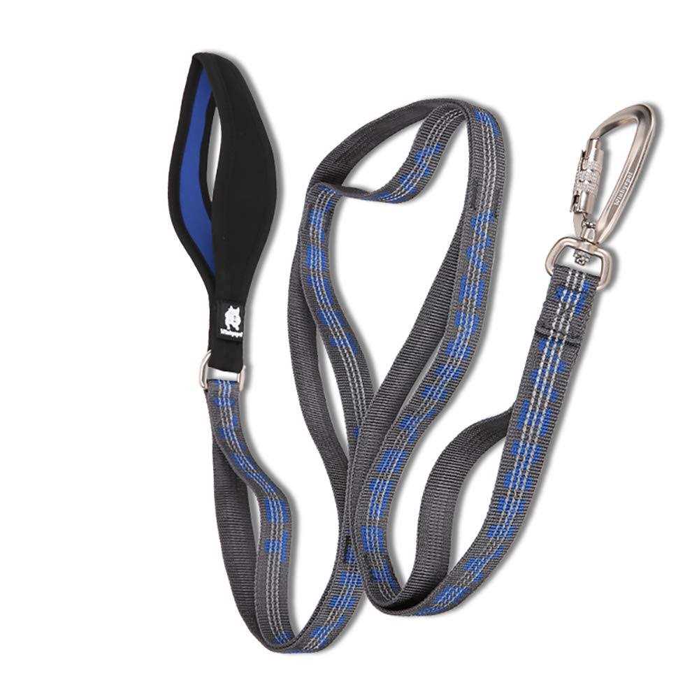 Heavy Duty Dog Leash Q510