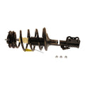 Strut Assembly Q2830
