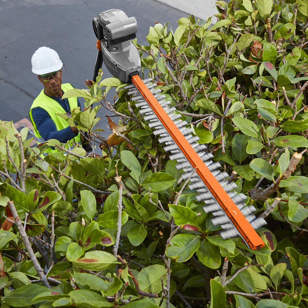 Cordless Pole Hedge Trimmer I9981