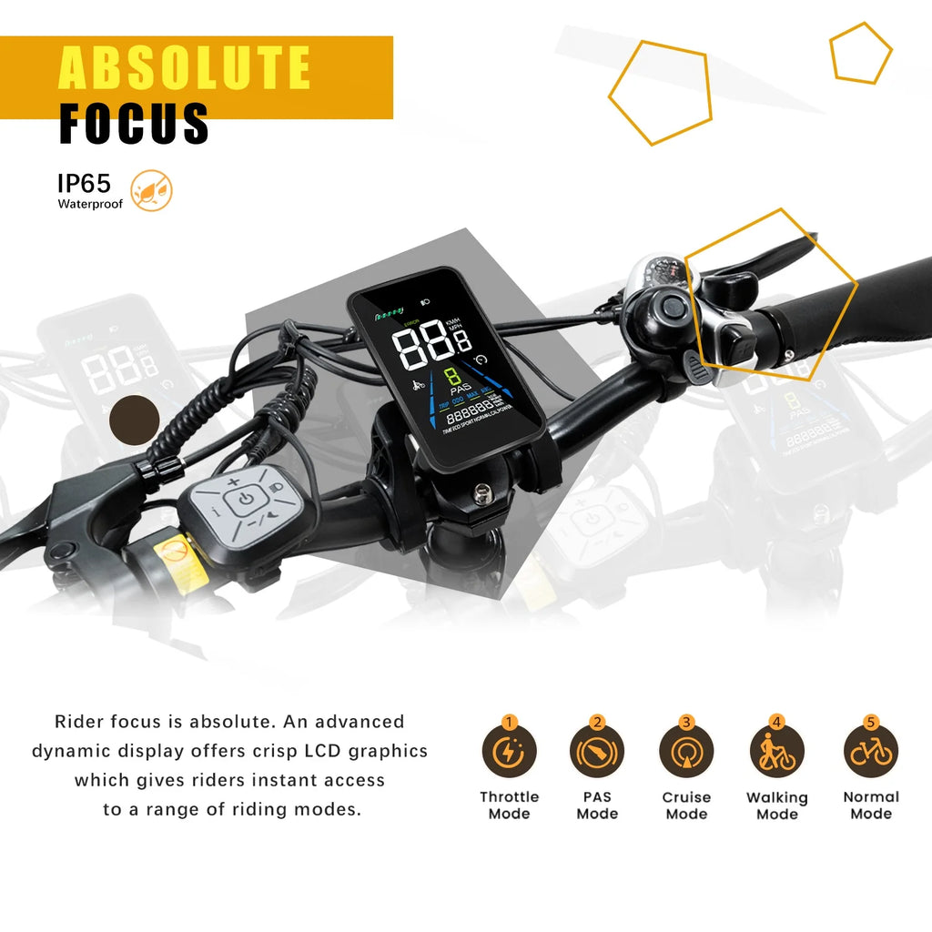 20''×4.0'' Fat Tire Electric Bike with 48V 20AH Removable Battery P2766