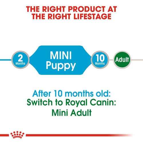 Small Breed Puppy Wet Dog Food W711