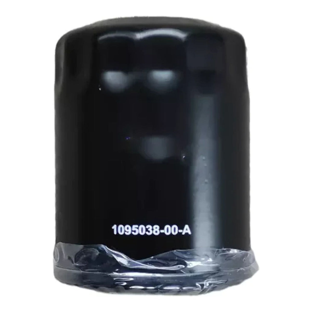 Front or Rear Drive Unit Oil Filter A471