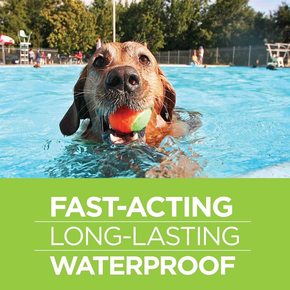 Firstect Plus for Dogs F68919