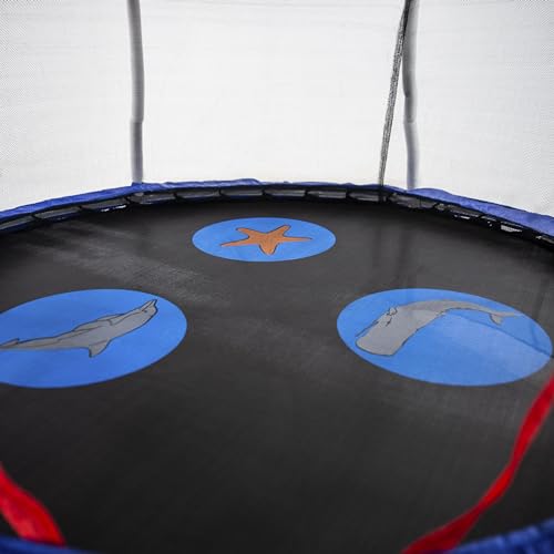 Mini Trampoline with Enclosure Net R5371
