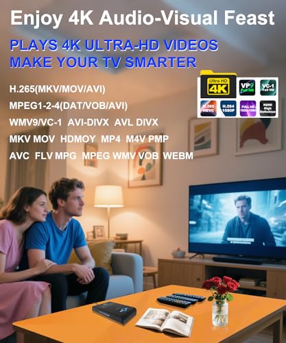 4K Ultra HD Media Player & HDD Enclosure 2-in-1 J210871