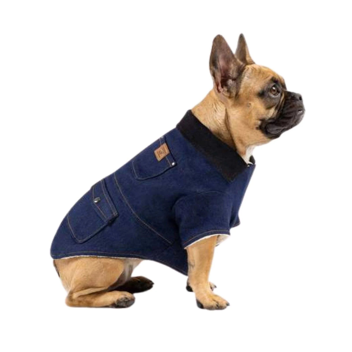 Blue Dog Jacket K2768