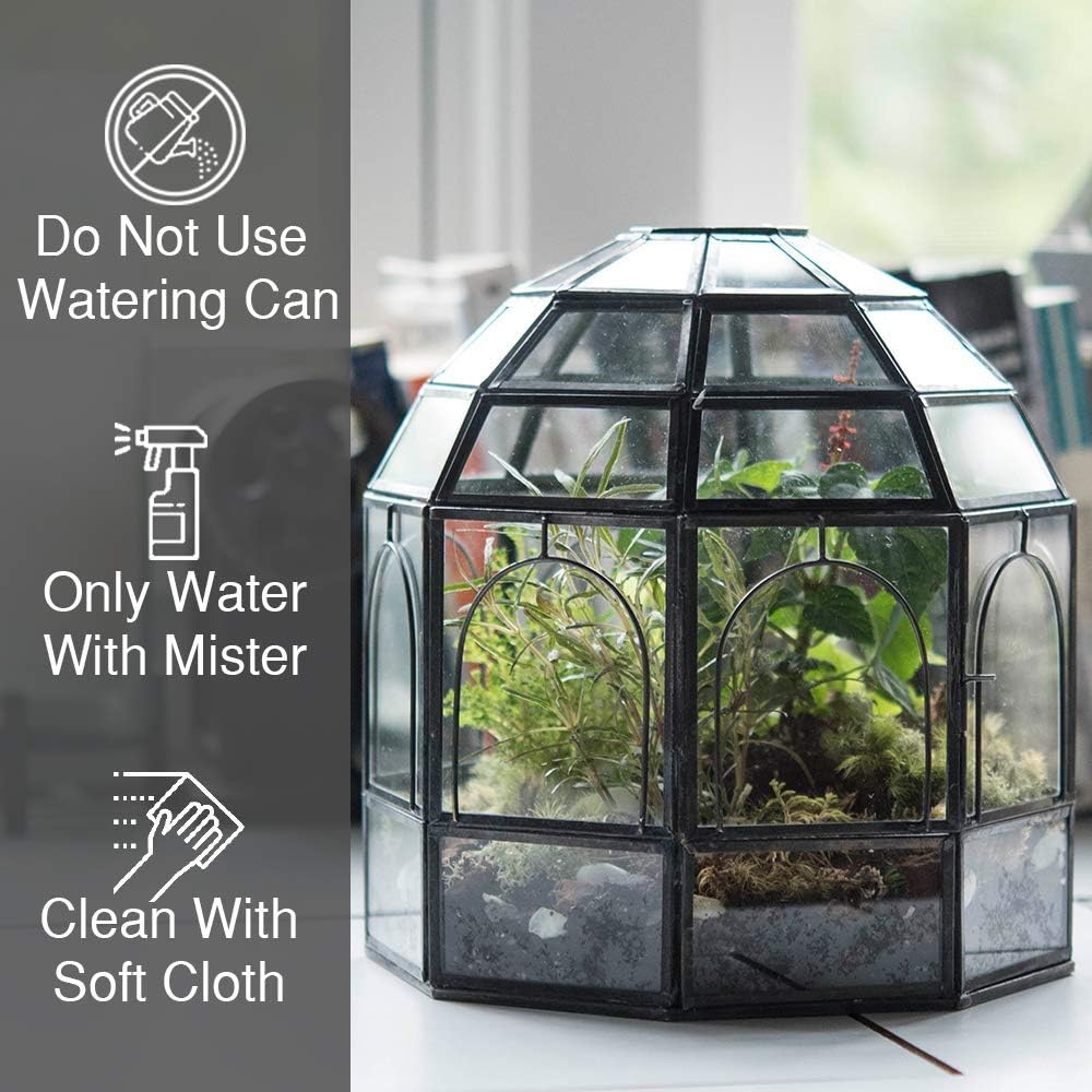 Large Glass Terrarium 10 x 9 x 9 Brass Z305345