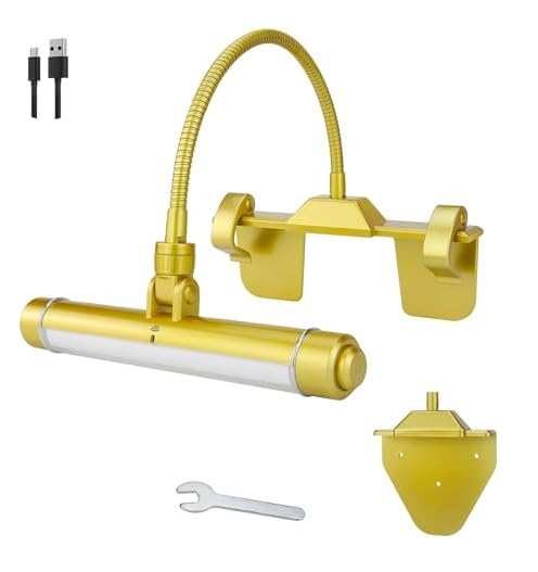 Rechargeable LED Picture Light with Timer Y855